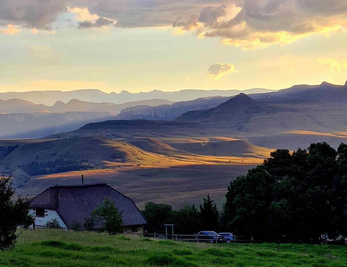 Berghouse And Cottages Langkloof Eksteriør billede